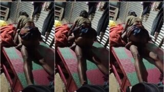 Village Wife Riding On Bull Dick Recorded By Her Cuckold Husband