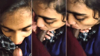 Mallu Horny Girl Boobs Pressing Giving Blowjob To Boyfriend