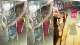 Village Wife After Bath Wearing Clothes Secretly Recorded